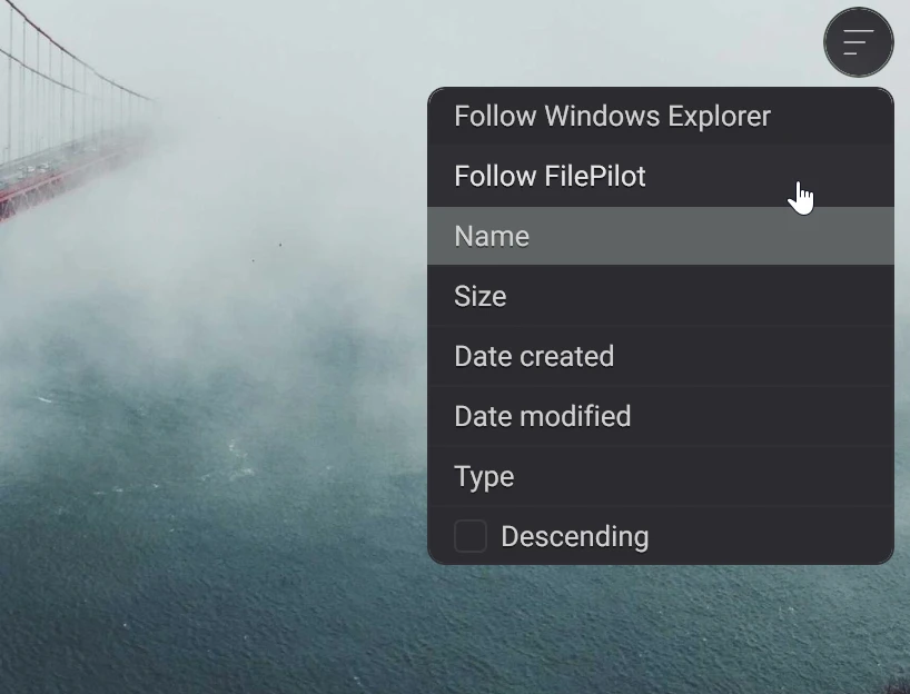 The sort menu of Zeiger, with Follow Windows Explorer, Follow FilePilot, name, size, dates and type